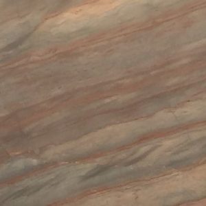 Elegant Brown