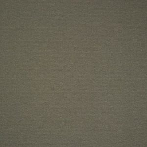 Pacific Grey