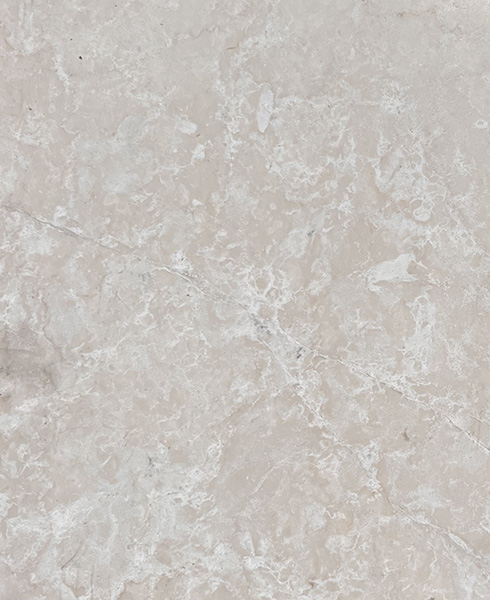 cts-botticino-fiorito-honed-16x16-detail