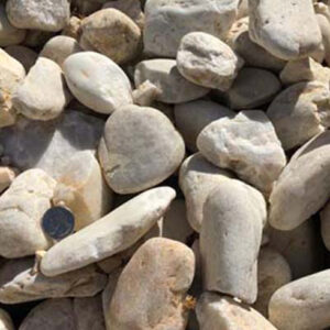 Goose Eggs