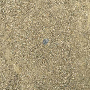 Masonry Sand